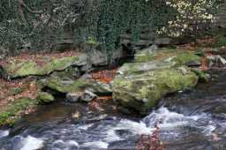 Shotley Grove Mill Race stone brick profile 21/11/2021